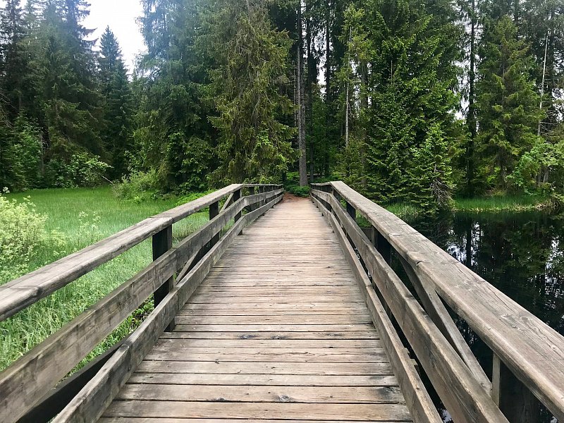 Der Weg zur Zuversicht